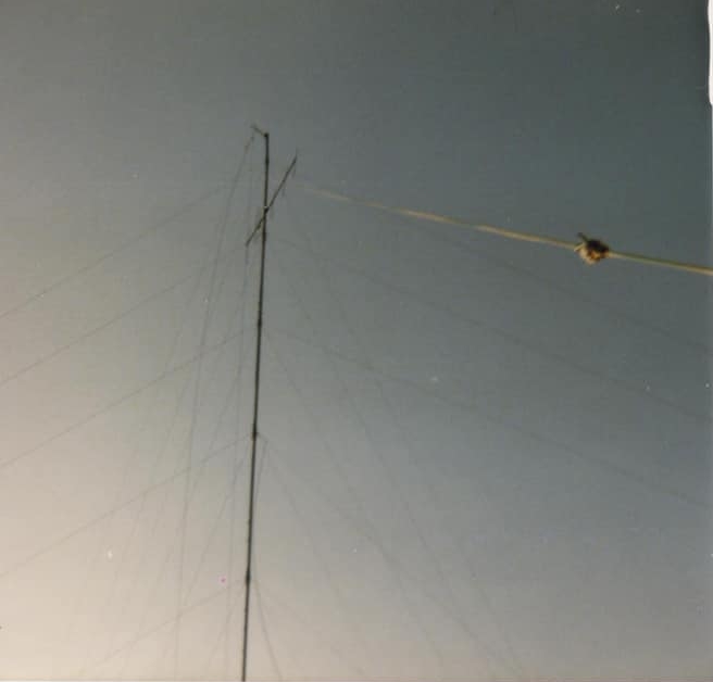Mast